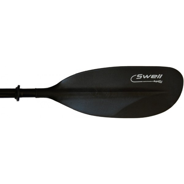 Swell Carbon
