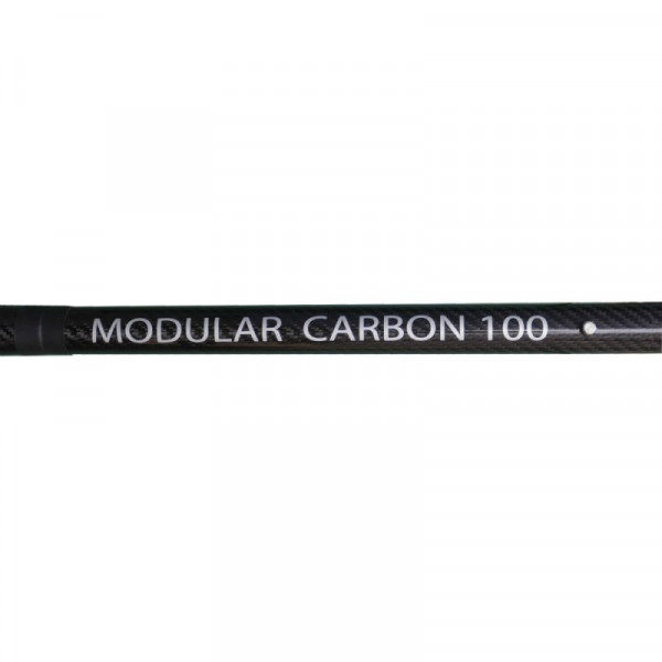 Modular Carbon Safe