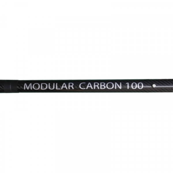 Modular Carbon Safe